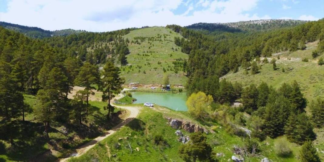 Hafta sonu rotanız şimdiden hazır! Kimse inanmıyor ama burası Yozgat’ta: Çam ormanlarının içinde saklı bir vaha 1